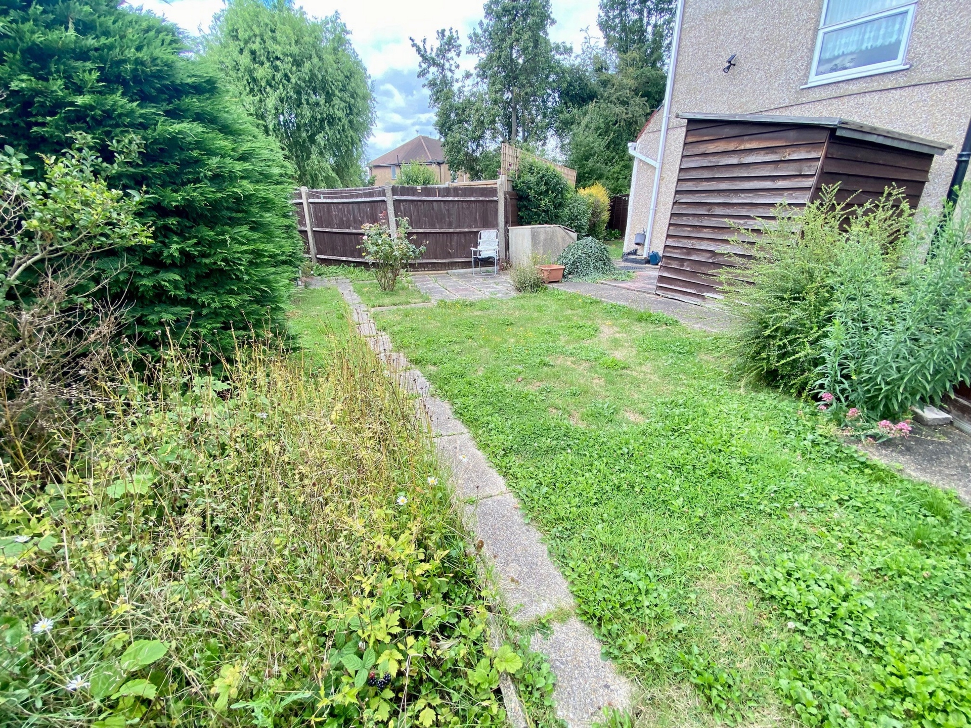 Photo 15