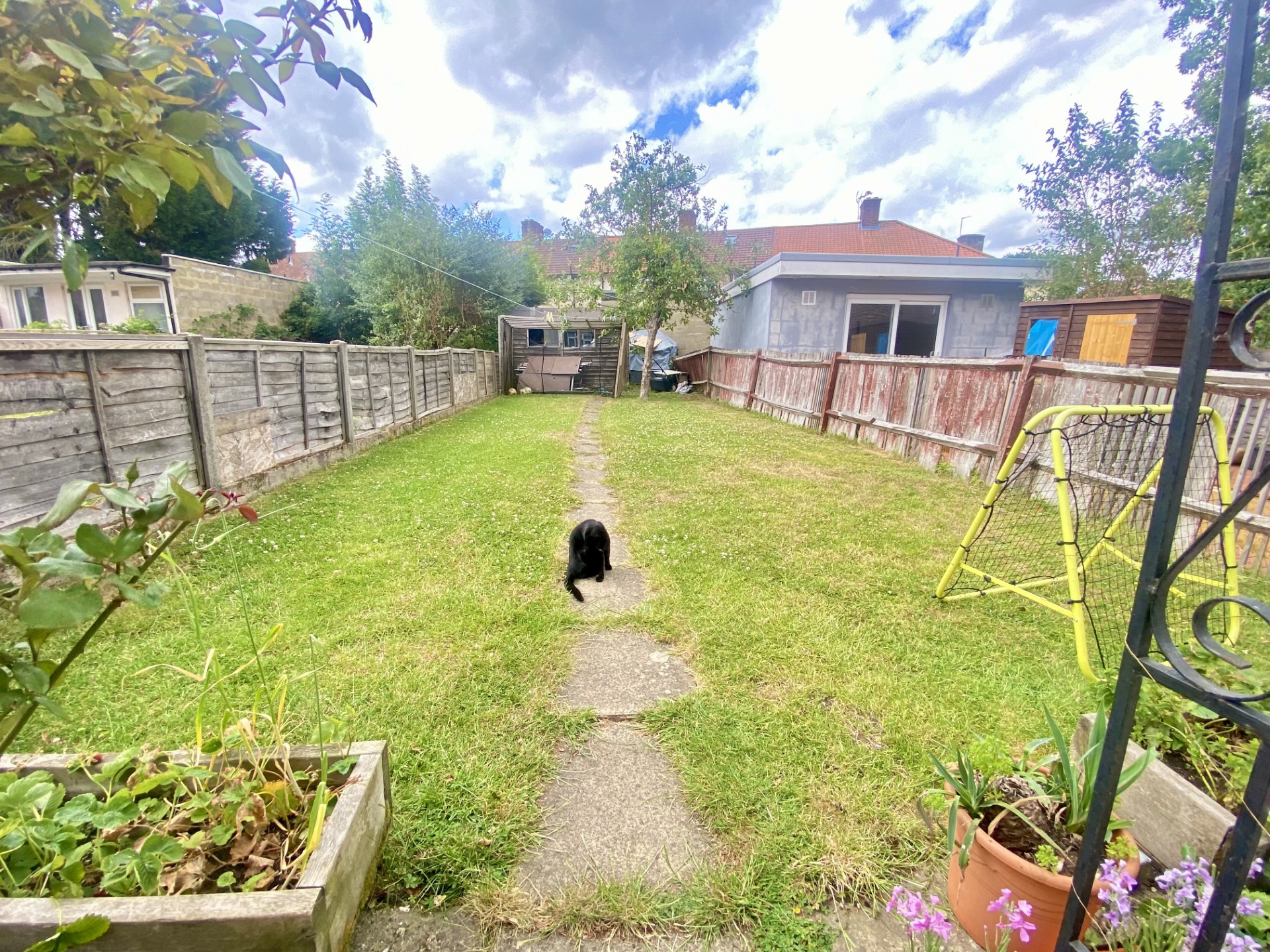 Photo 7