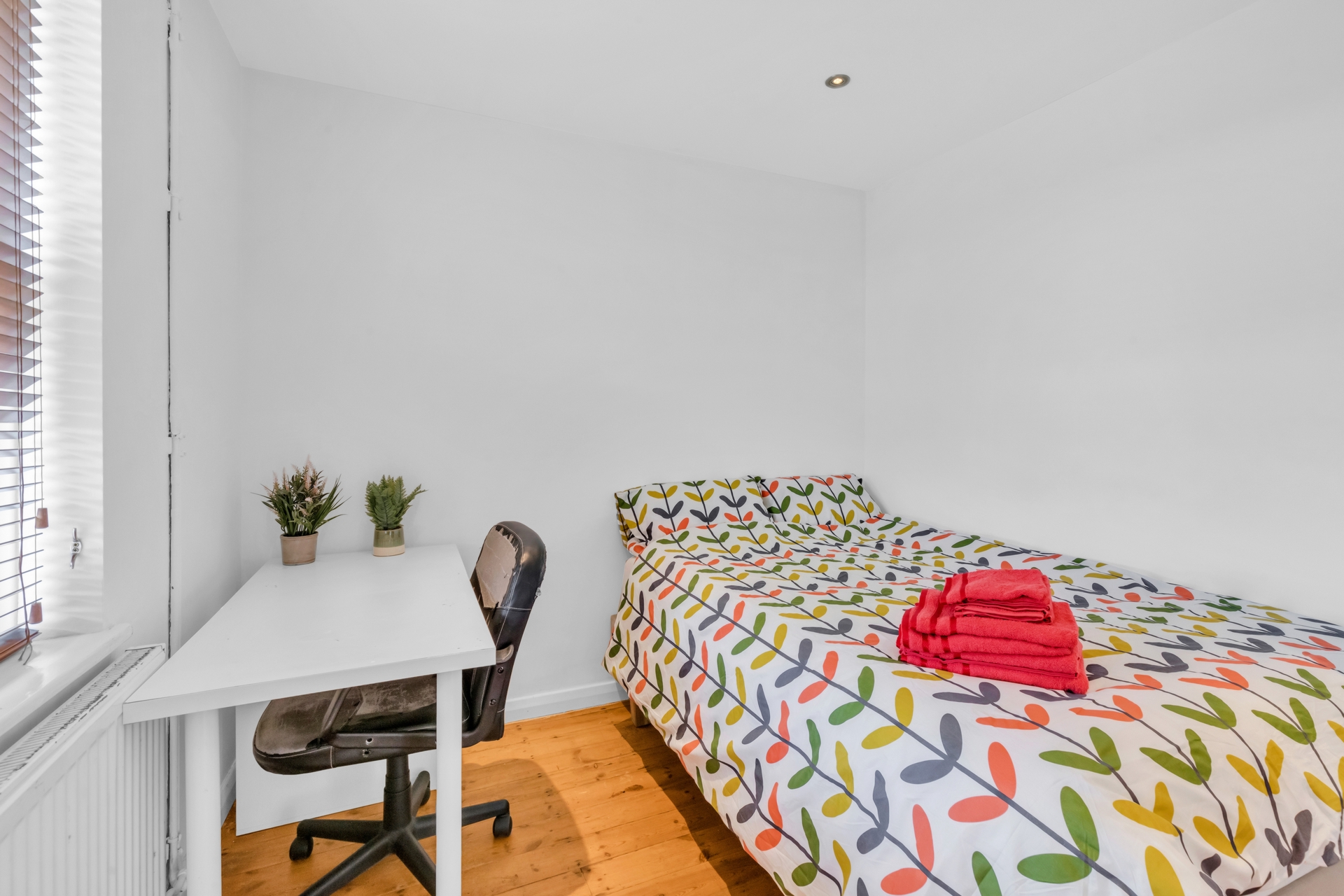 Ringmer Road  Brighton  BN1