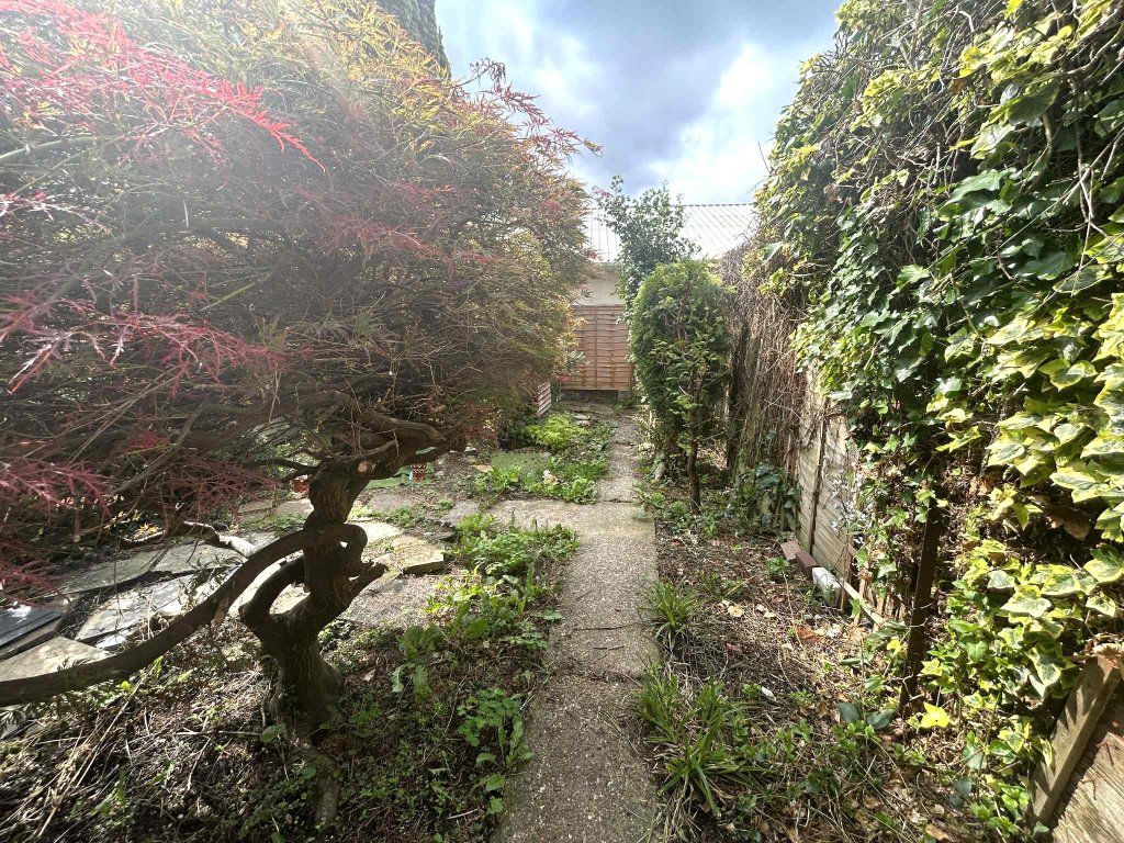 Photo 14