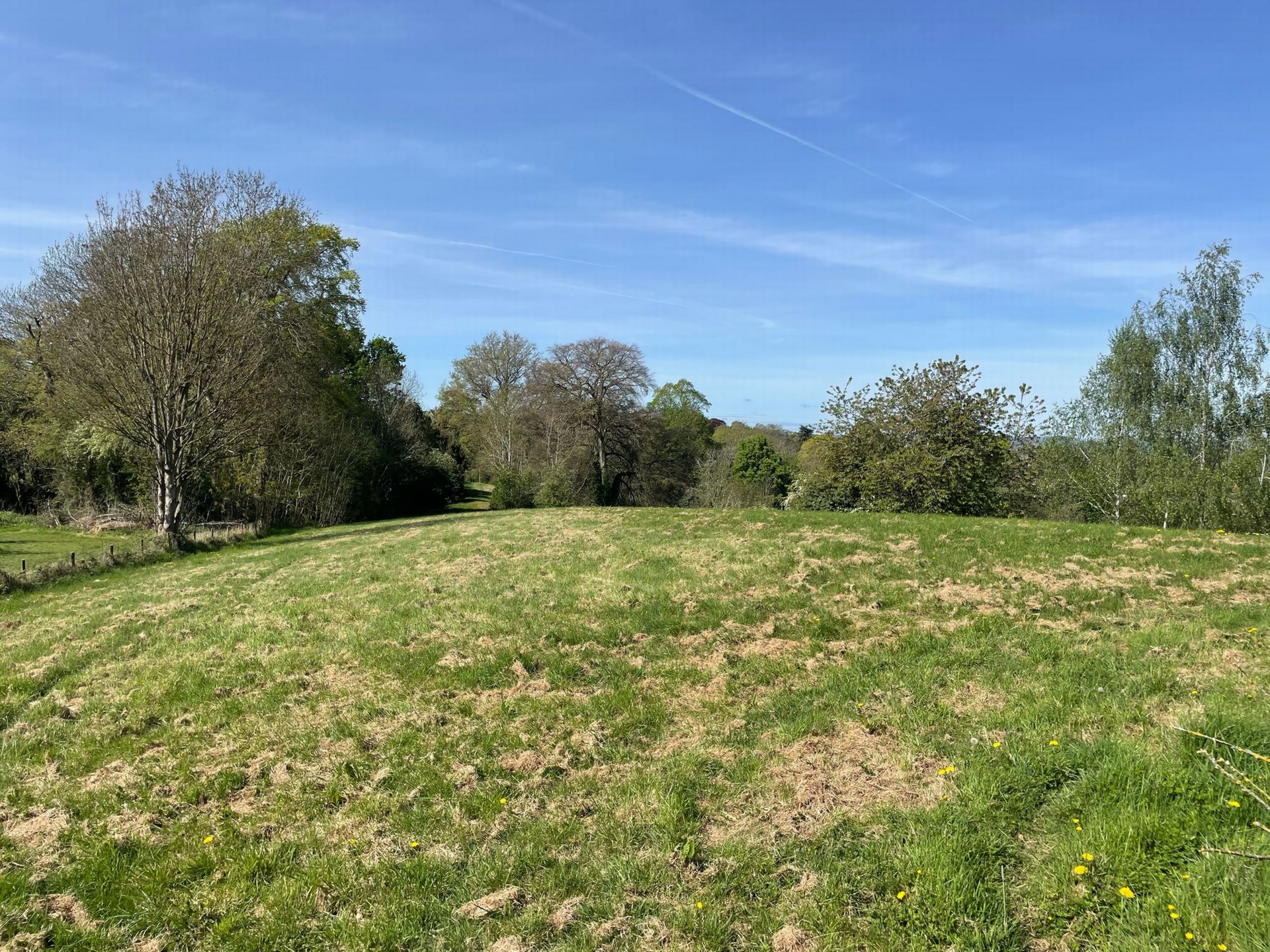 Greenhill  Kyrewood  WR15