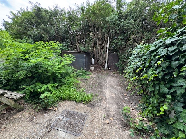 Photo 8