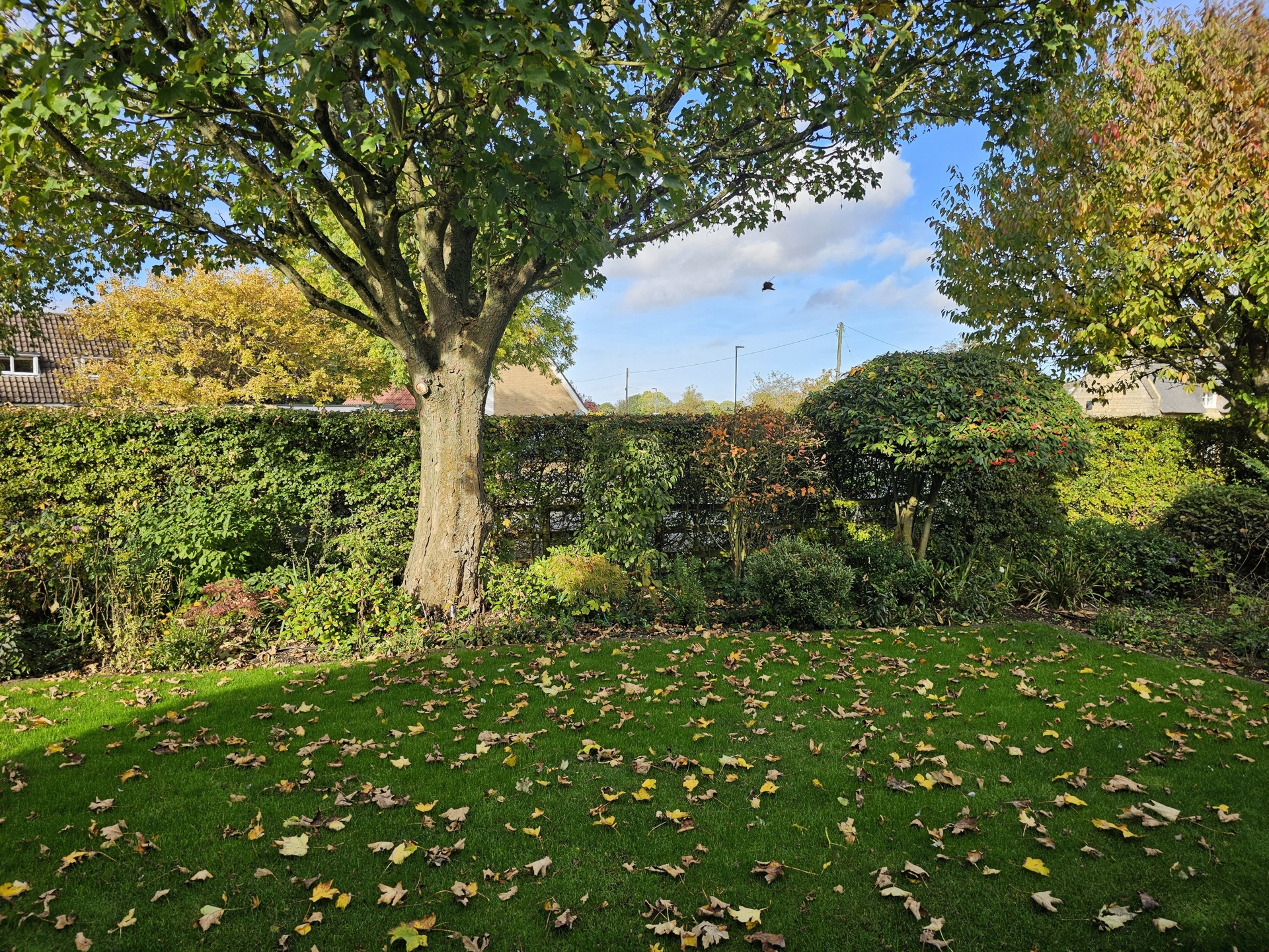 Front garden