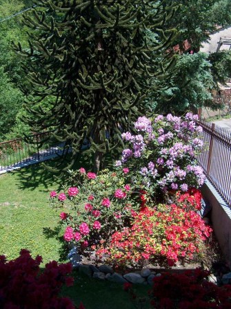 Photo 41