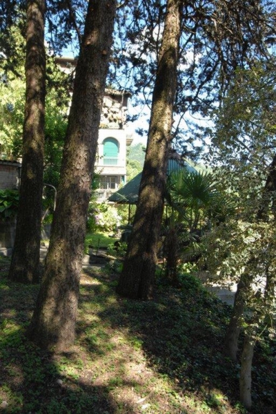 Photo 25