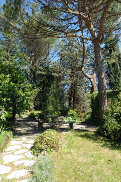 Photo 26