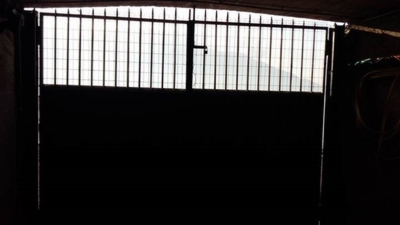 Photo 32