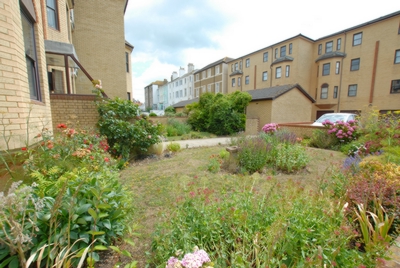 Communal Garden