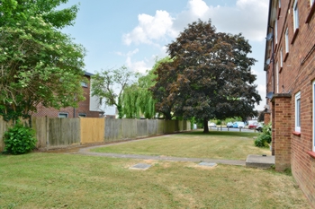 Communal Gardens