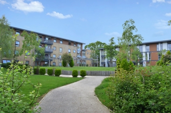 Communal Gardens