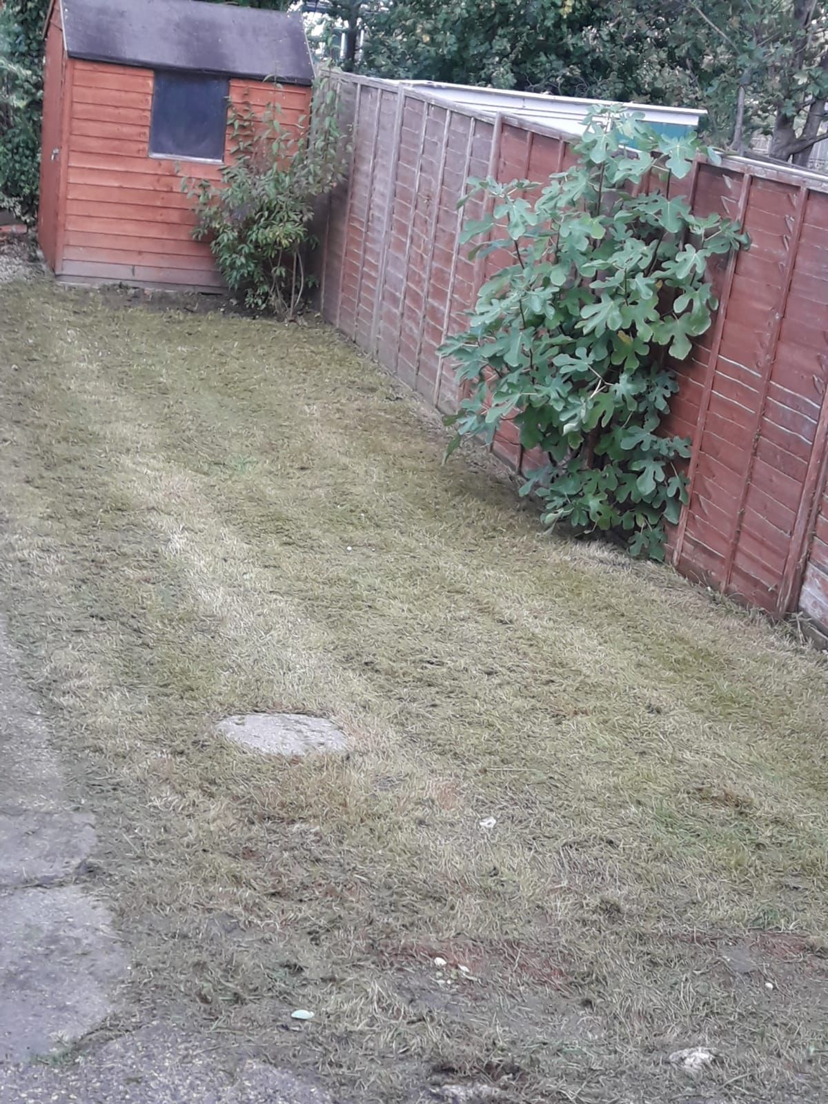 Rear Garden Rear Garden