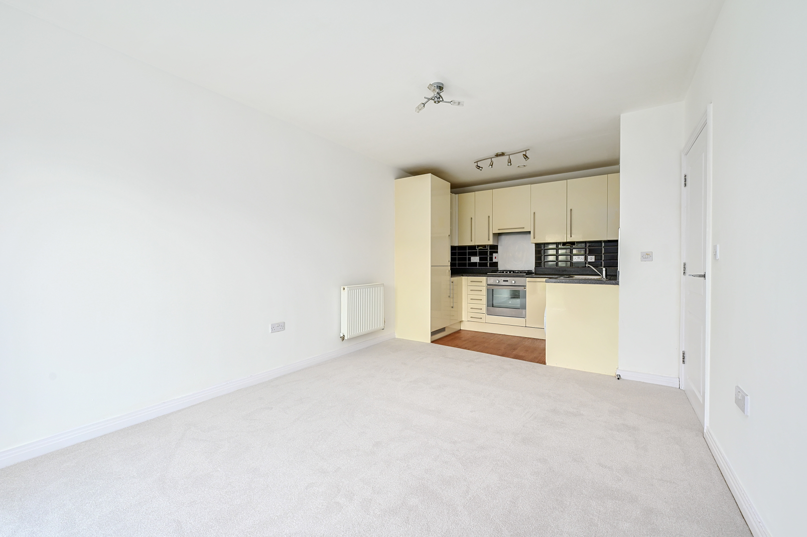 Kitchen/Living Room