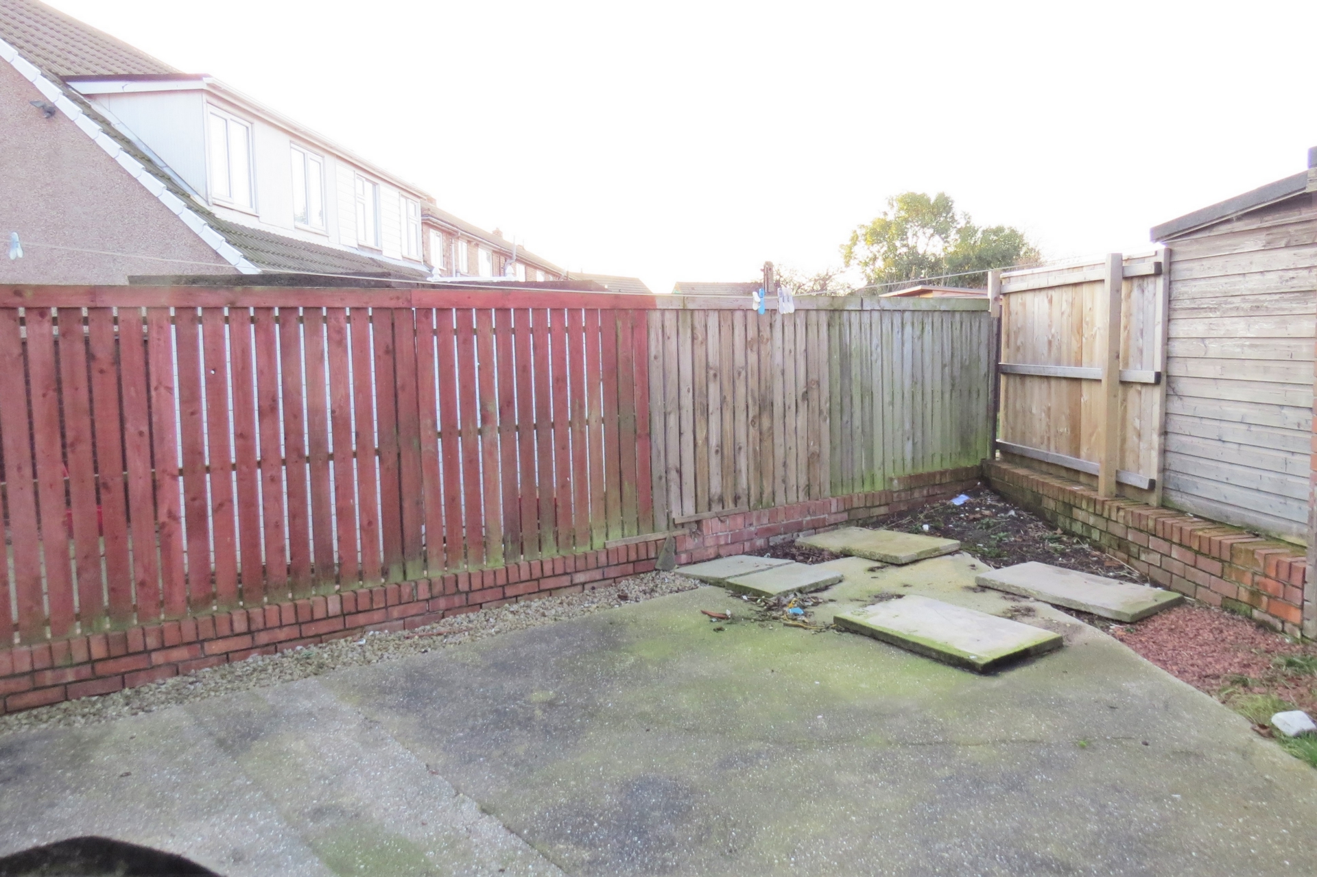 Back Garden