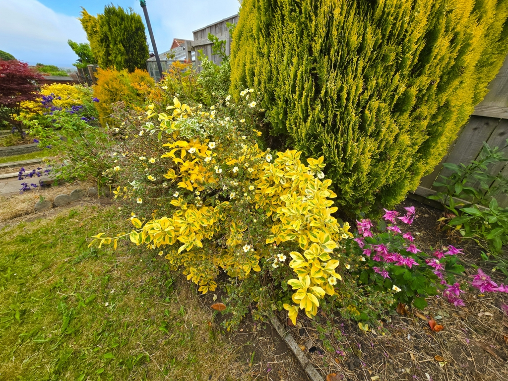 Photo 23
