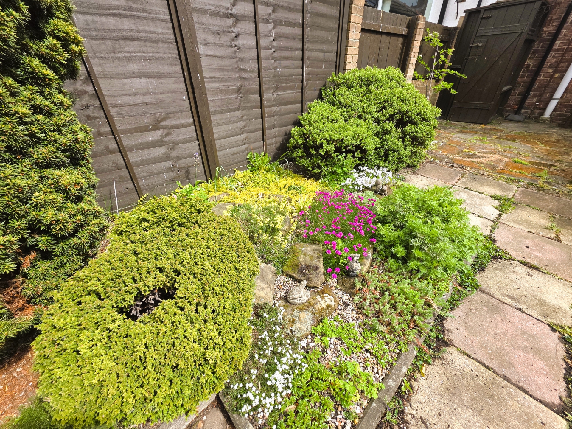 Photo 20