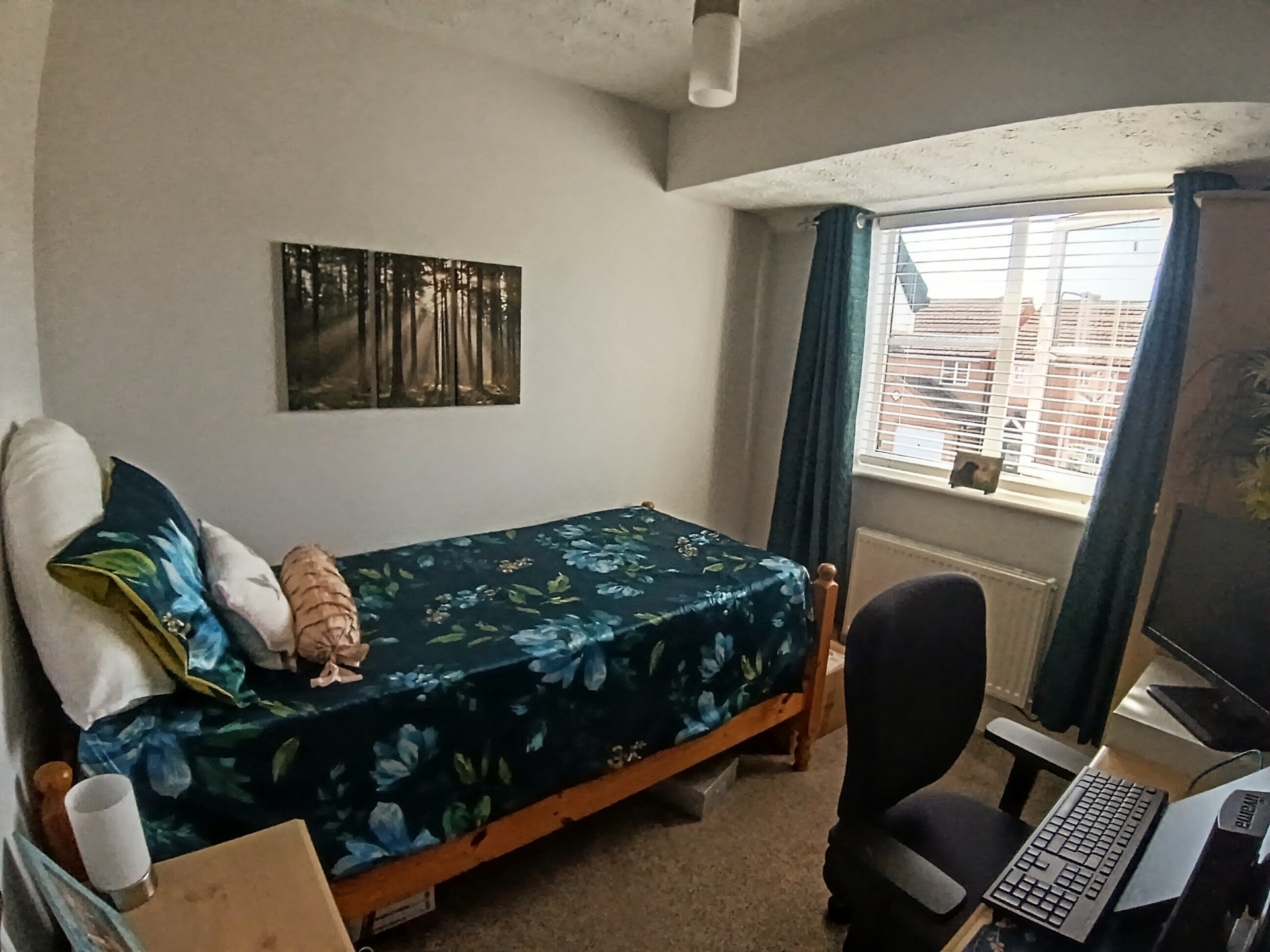 Photo 17