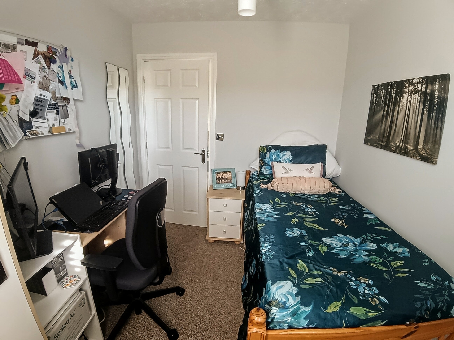 Photo 19