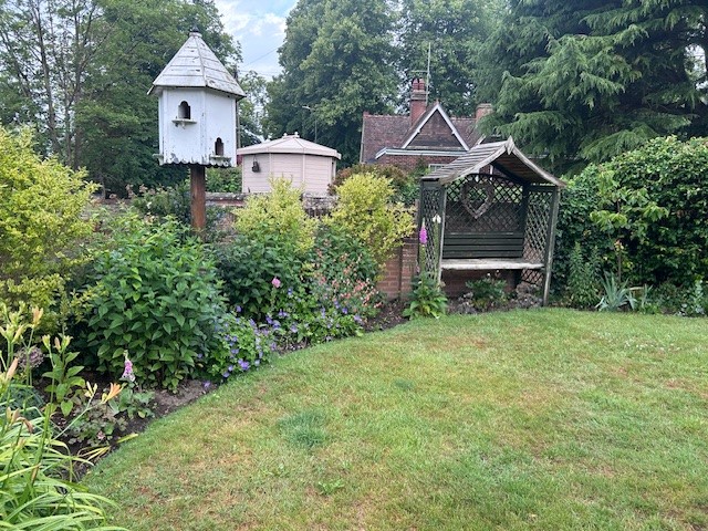 Photo 25